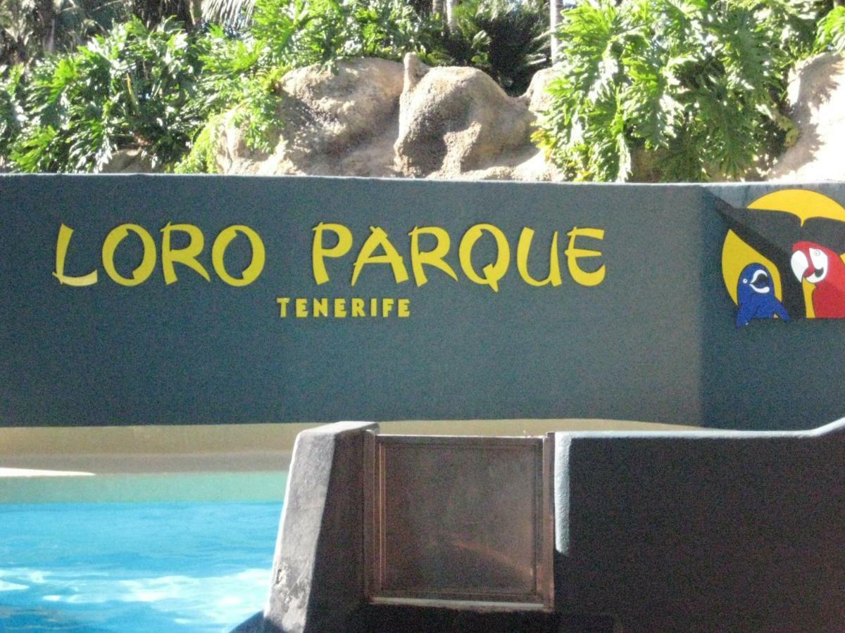 Paula Pool Adeje Apartment
